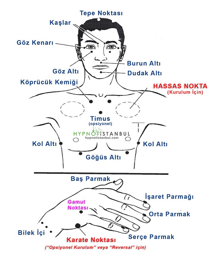 eft vurus noktaları eft vurus noktaları